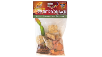 T-Rex Terra Accent Dessert Decor