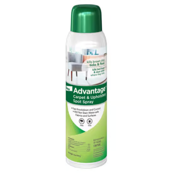 he chrysanthemum is a popular motif in traditional art and represents fall as part of the classic quartet of beautiful plants known as the Four Gentlemen. Indulge in a mindful building project or treat a loved one to this timeless floral display for home decor or office decor. A perfect gift for teens and adults for any occasion. This detailed replica, with posable leaves and petals, captures the vivid orange flower in bud, blooming and in full bloom and comes with a pastel green flowerpot decorated with a golden band and set on a wood effect plinth.