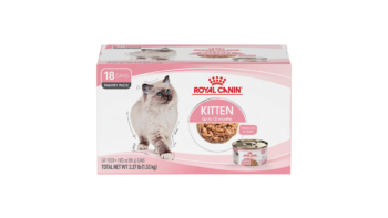 Royal Canin Kitten Thin Slices in Gravy Wet Cat Food (3 oz x 18 ct)