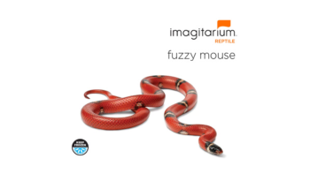 Imagitarium Frozen Medium Fuzzy Mouse (3 ct)