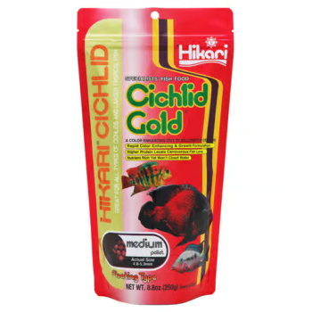 Hikari Cichlid Gold Floating Medium Pellets Fish Food (8.8 oz)