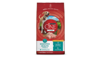 Purina ONE Plus Digestive Health Formula with Vitamins Minerals & Nutrients Dry Dog Food