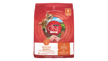 Purina ONE High Protein Plus Healthy Weight Formula Dry Dog Food