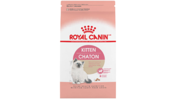 Royal Canin Kitten Dry Cat Food (7 lb)