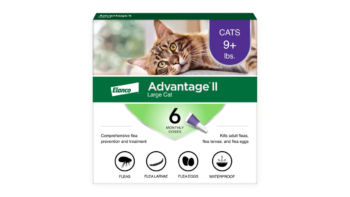 Advantage II Vet-Recommended Large Cat Flea Treatment & Prevention (6 ct)