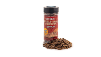 Fluker's Freeze-Dried Crickets Reptile Treats Jar (1.2 oz)
