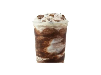 Girl Scout Thin Mints® Vanilla Frosty Fusion®