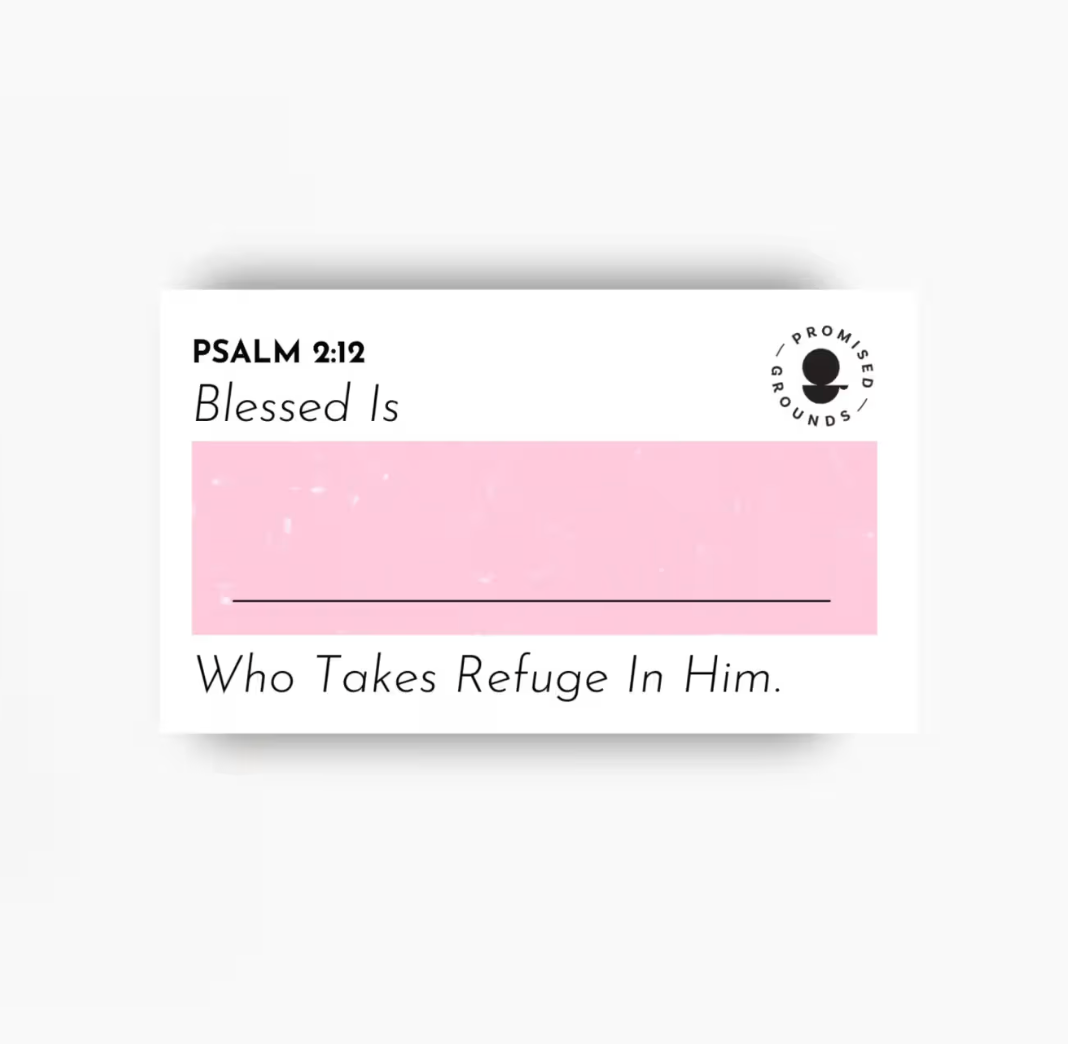 Custom Scripture Magnet Bundle – Set of 10 (2" × 3.5")