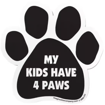 Imagine This My Kids Have 4 Paws Car Magnet