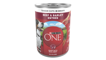 Purina ONE Beef & Barley Entree Tender Cuts in Gravy Wet Dog Food