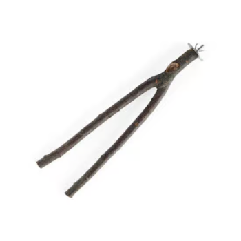 You & Me Bird Manzanita Wood Multi-Branch Medium Bird Perch