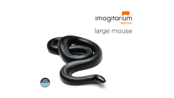 Imagitarium Frozen Large Mouse (3 ct)