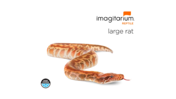 Frozen Large Rat